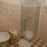 Saric Rogoznica Apartment *